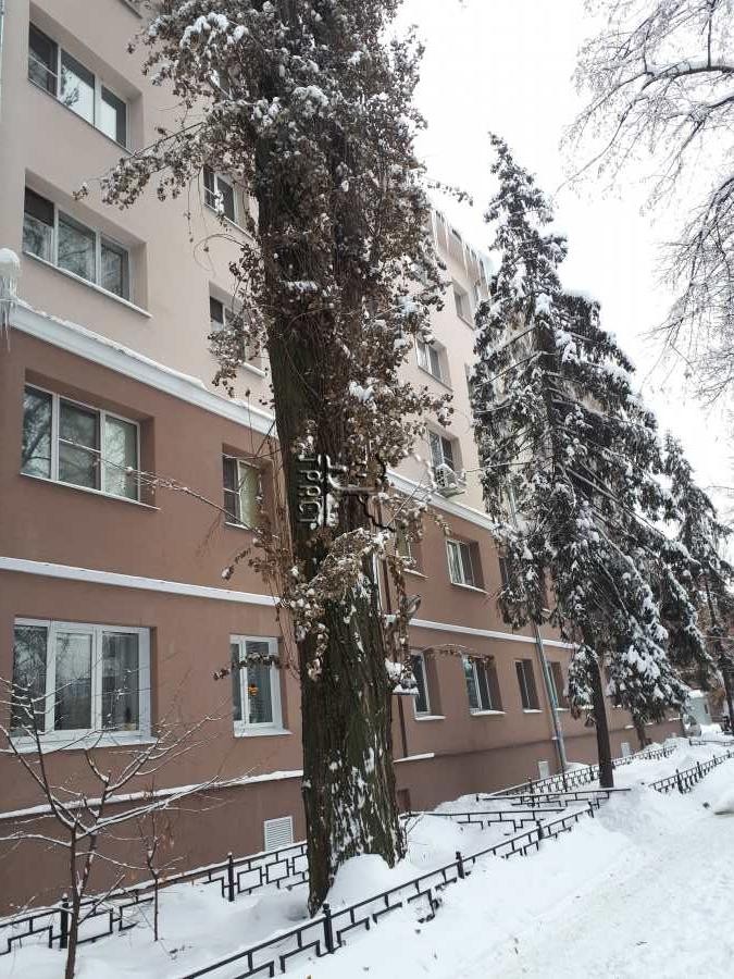 Фридриха энгельса 2. Фридриха Энгельса 2 Воронеж. Ул ф Энгельса д 2 Воронеж. Ул Фридриха Энгельса д.6. Воронежская область, Воронеж, ул. Фридриха Энгельса, 39.