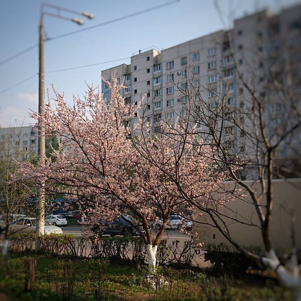 Улица щербаковская москва