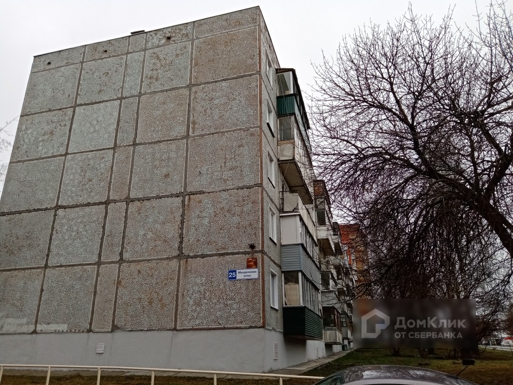 Менделеева 25