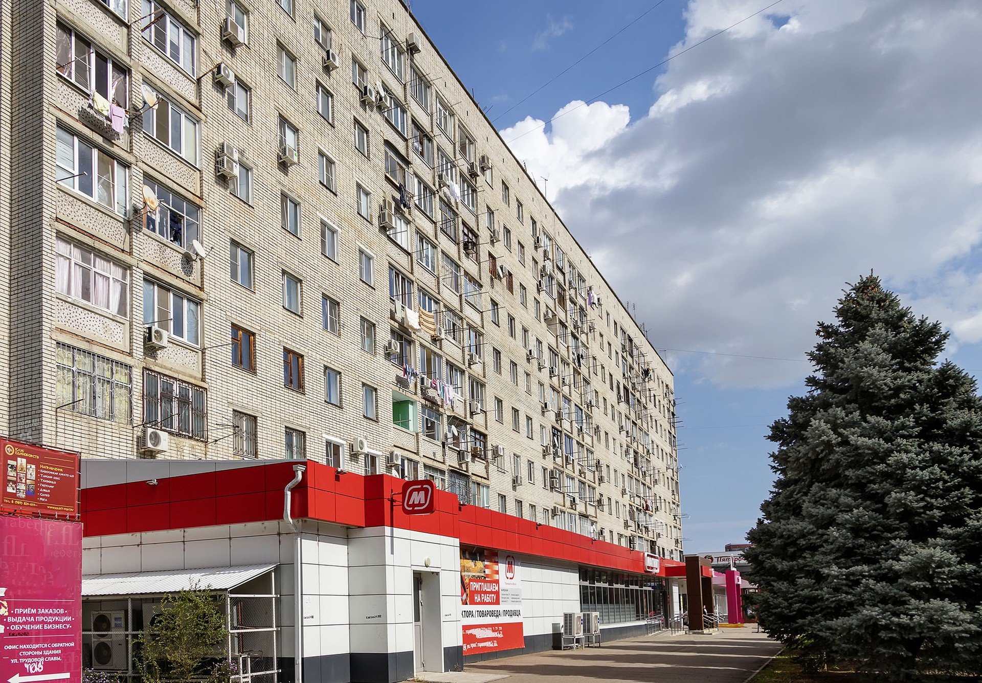 Фото трудовая 8