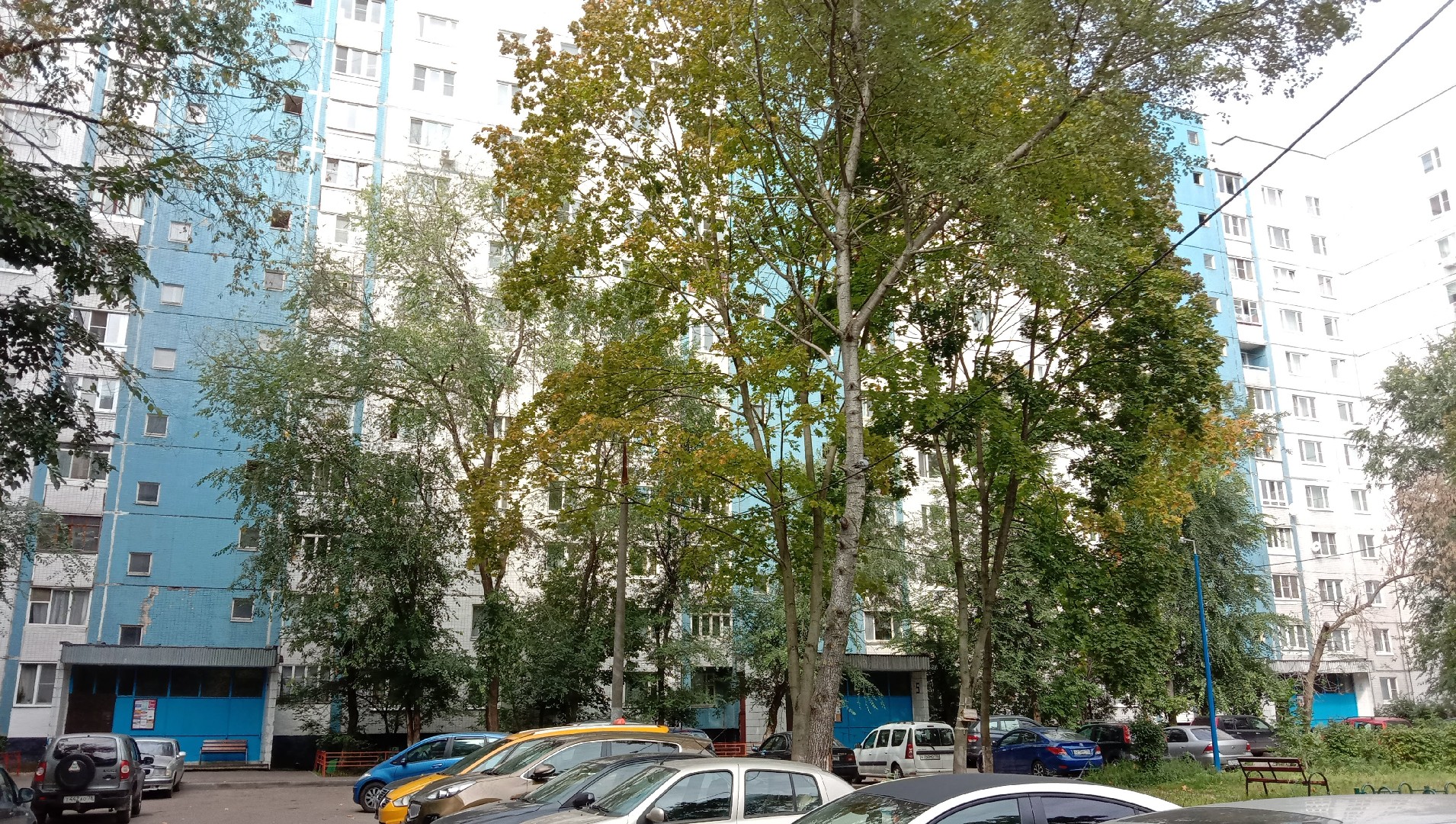 Заправка Картриджей Королев Проспект Космонавтов