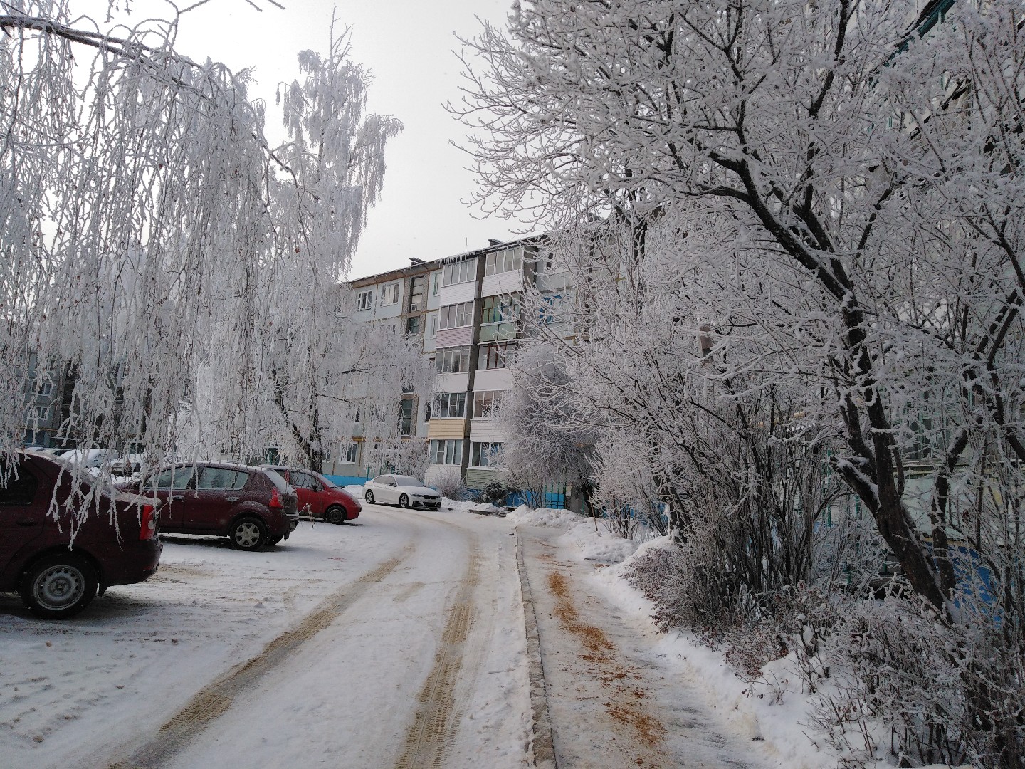 Адрес новомосковск