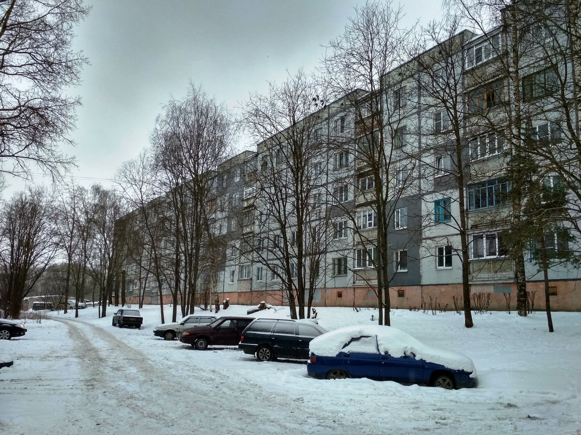 Ул ярославская д. Ярославская 16б Вологда. Г. Вологда, ул. Ярославская 16д. Вологда Ярославская улица 16в. Ярославская 16б Вологда управляющая.